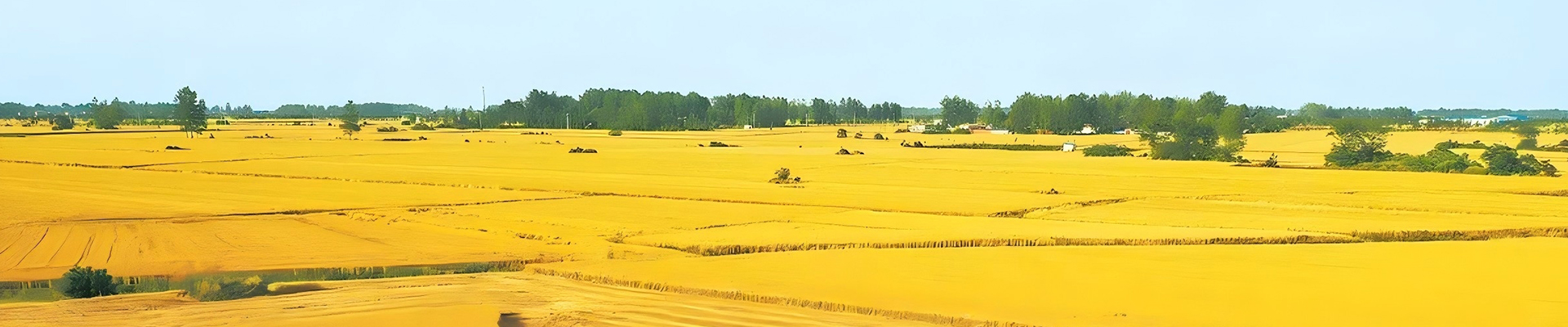 粮食烘干及仓储设备